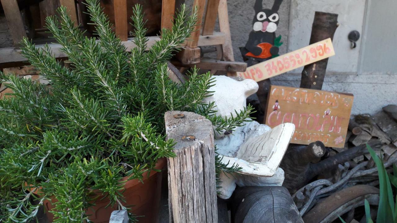 Cianbolpin Guesthouse カナツェーイ エクステリア 写真
