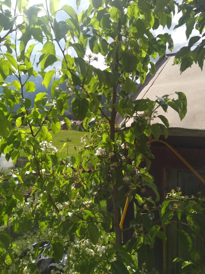 Cianbolpin Guesthouse カナツェーイ エクステリア 写真
